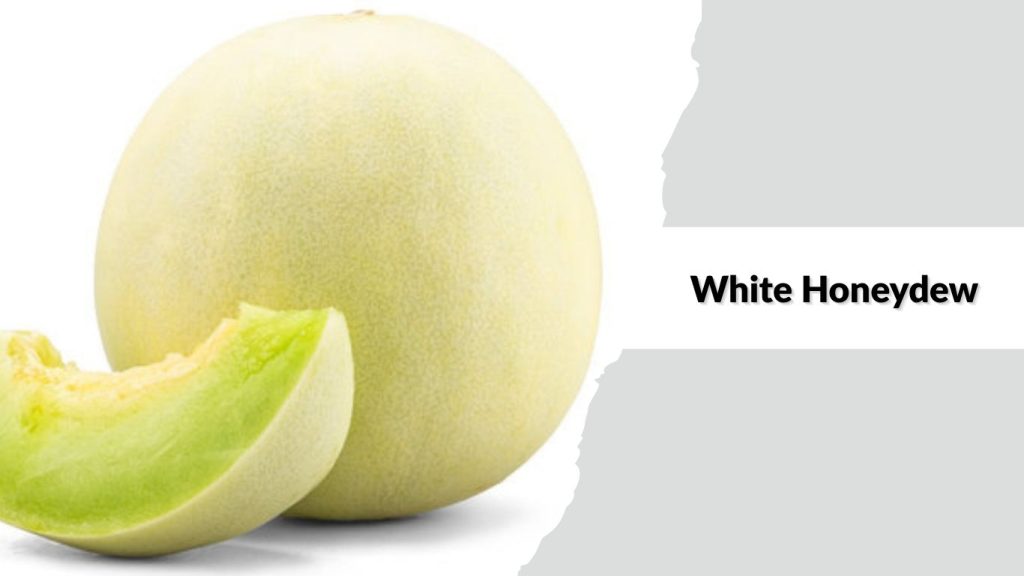 White Honeydew