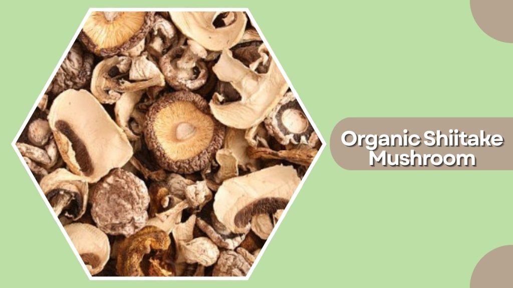 Organic Shiitake Mushroom
