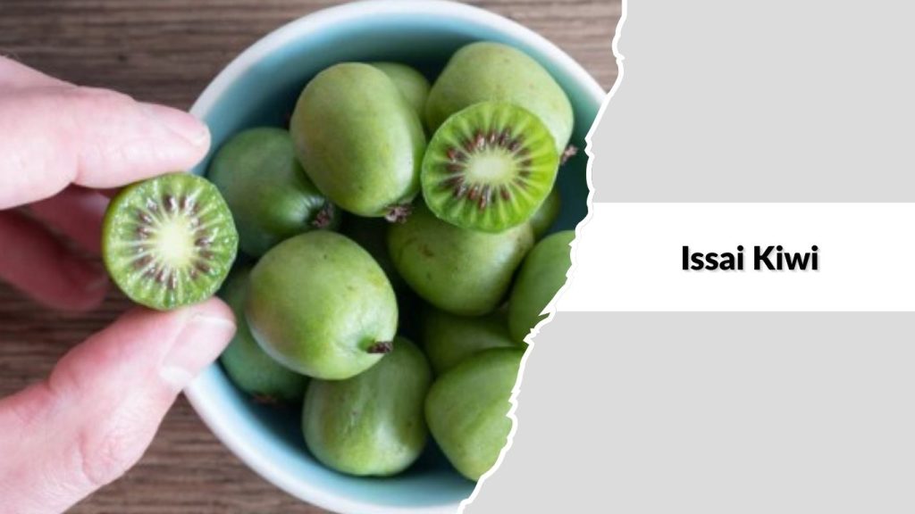  Issai Kiwi