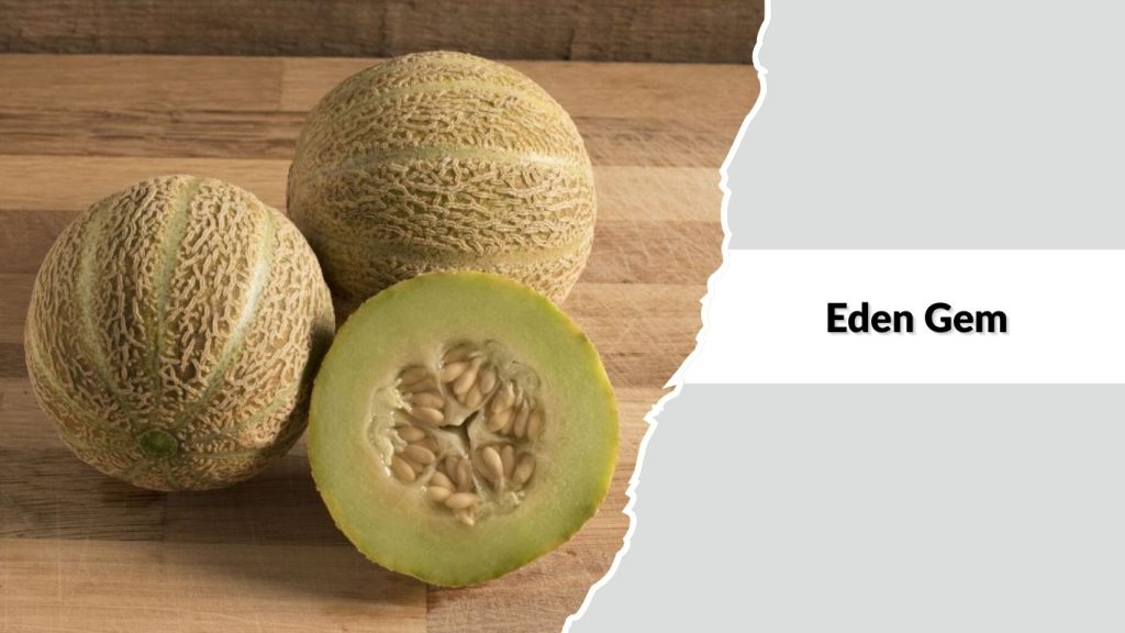 Eden Gem
