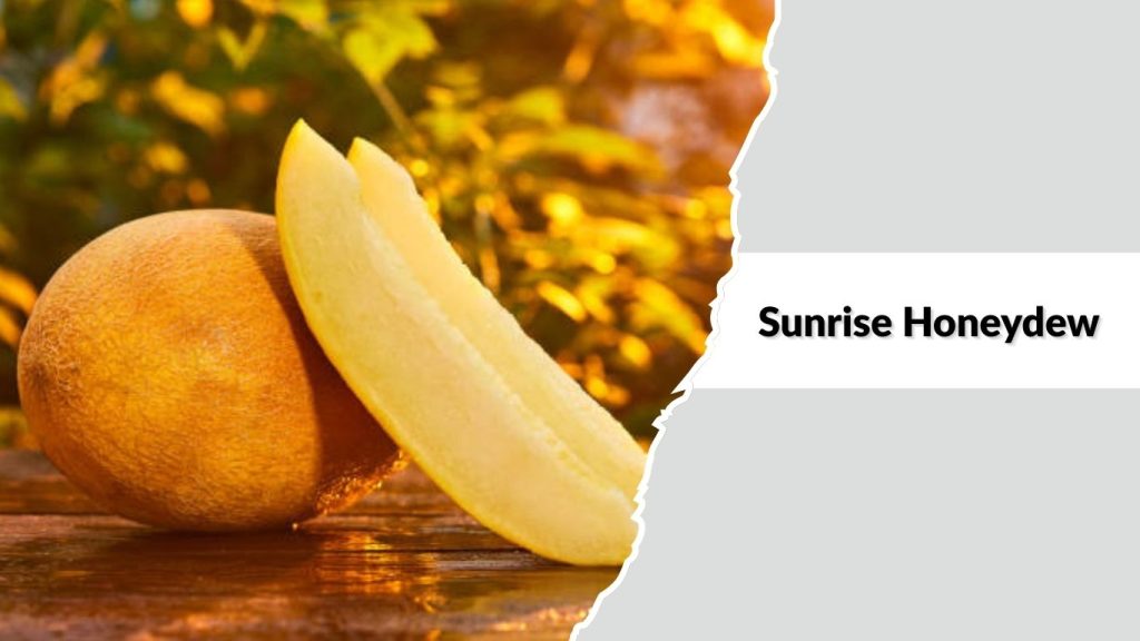 Sunrise Honeydew