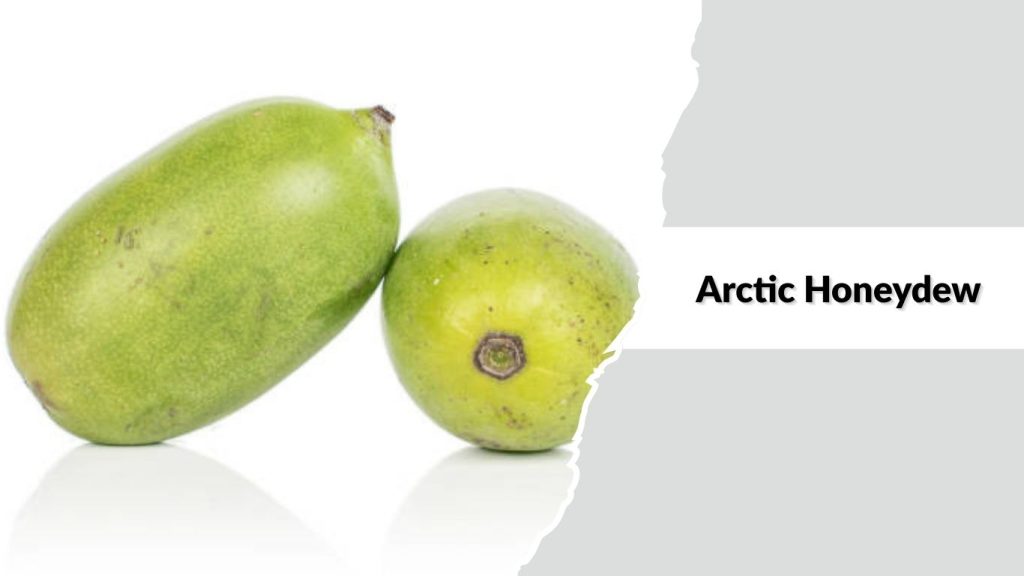 Arctic Honeydew