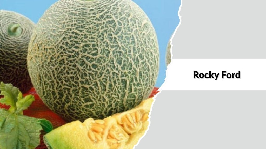 Rocky Ford