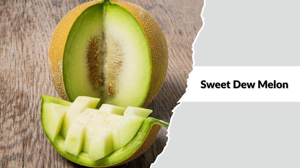 Sweet Dew Melon