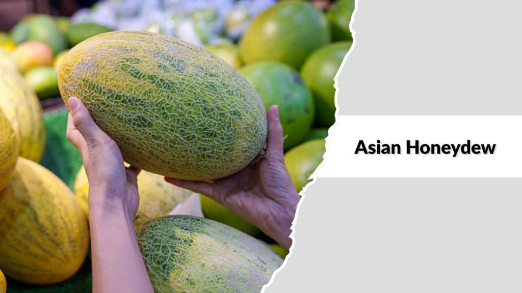 Asian Honeydew