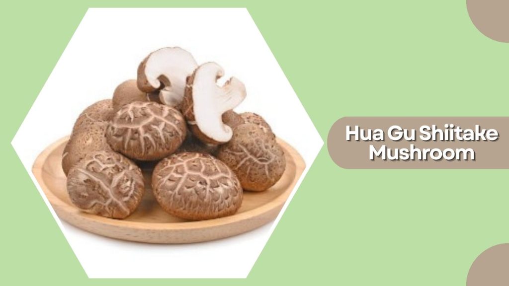 Hua Gu Shiitake Mushroom