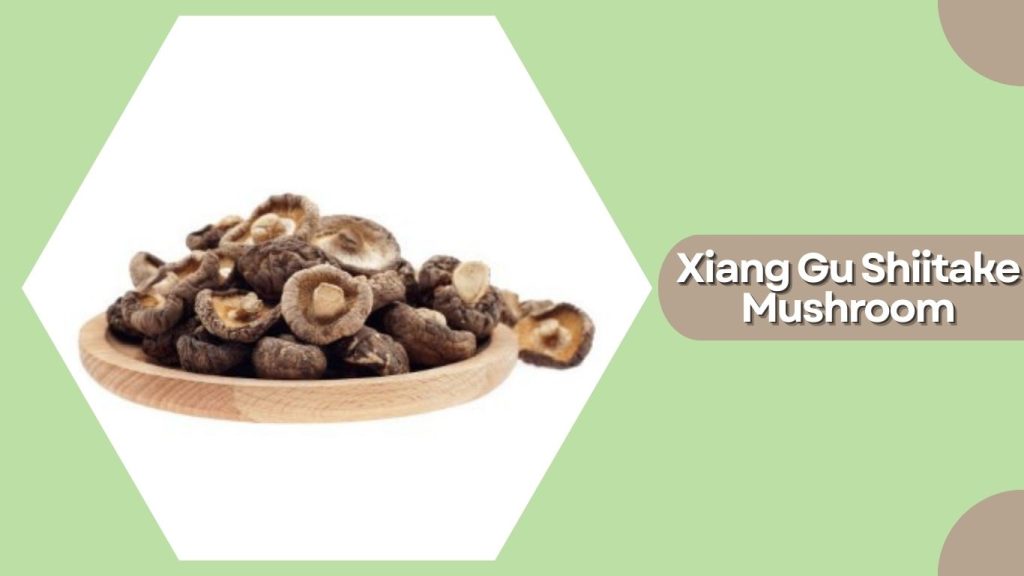 Xiang Gu Shiitake Mushroom
