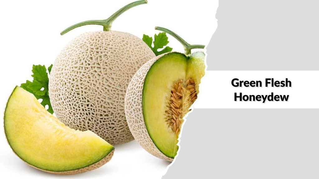 Green Flesh Honeydew