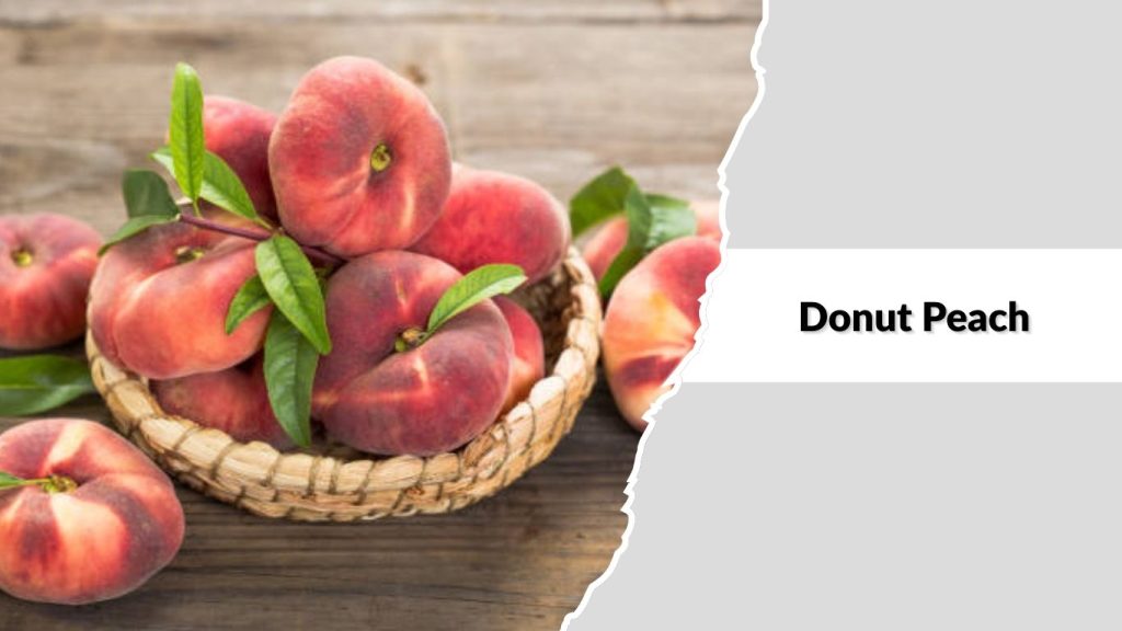  Donut Peach