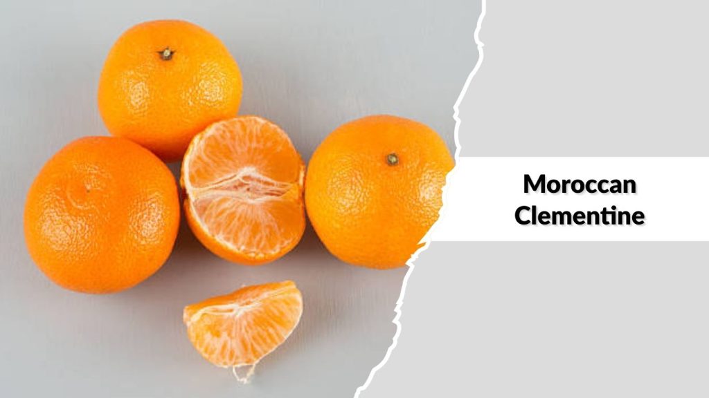 Moroccan Clementine