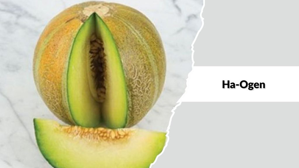 Ha-Ogen