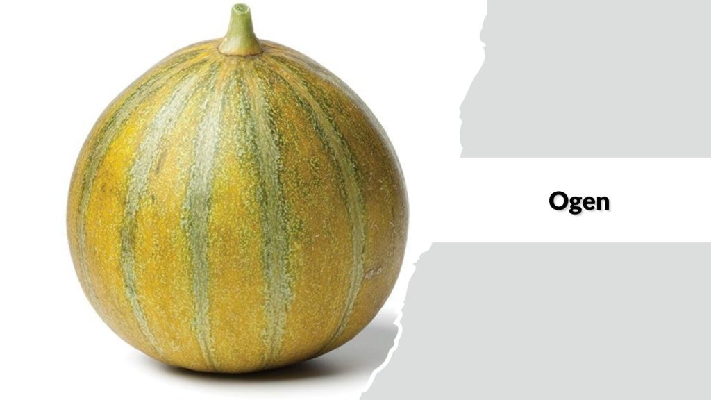 Ogen