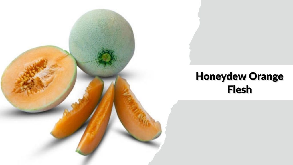 Honeydew Orange Flesh