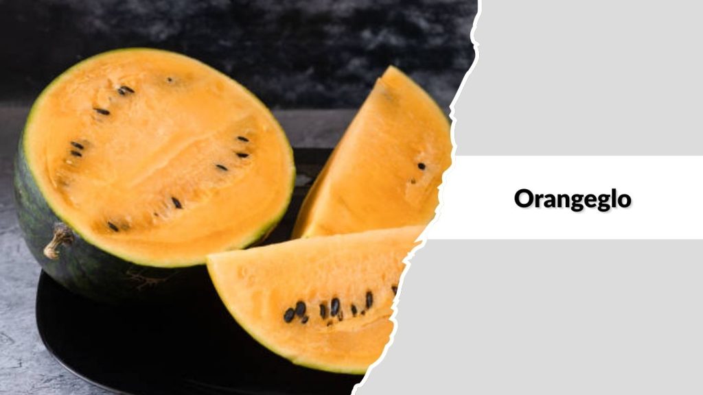 Orangeglo