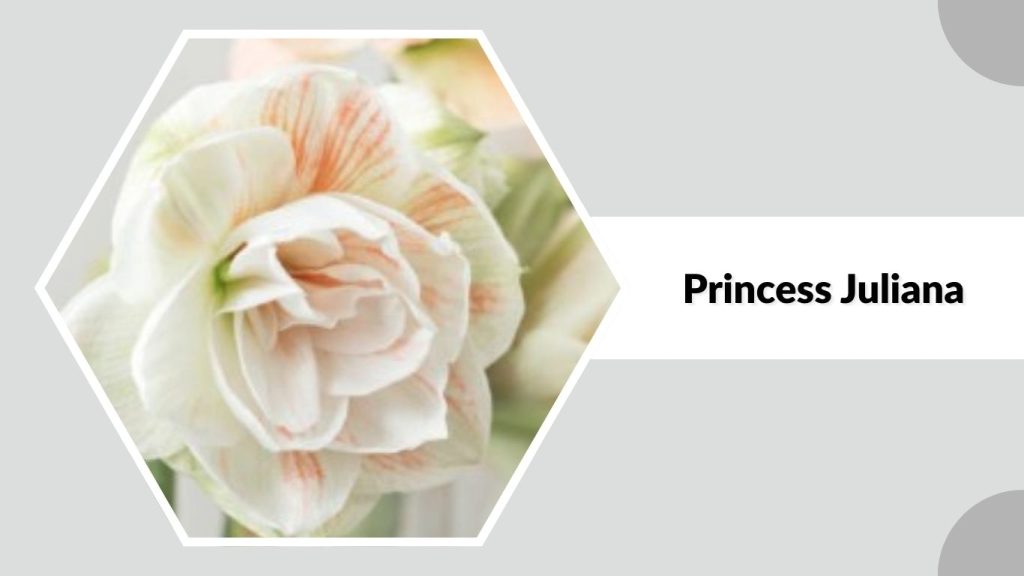 Princess Juliana