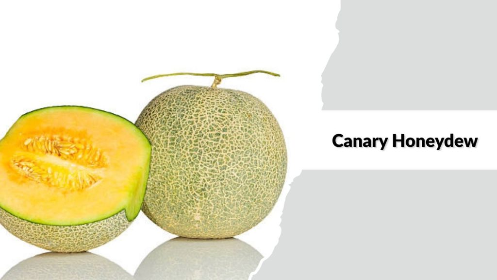 Canary Honeydew