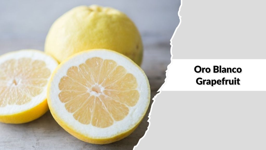 Oro Blanco Grapefruit