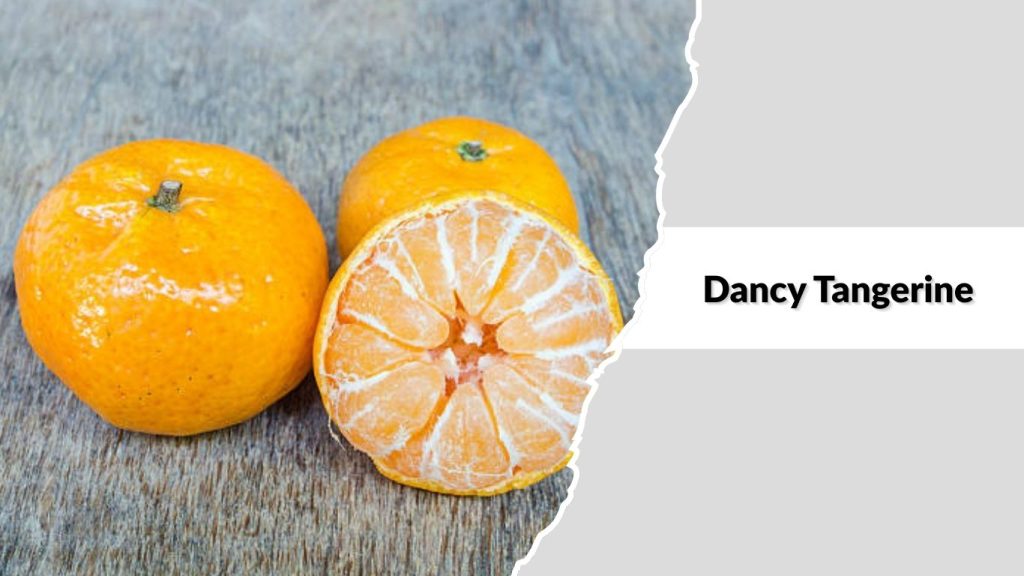 Dancy Tangerine