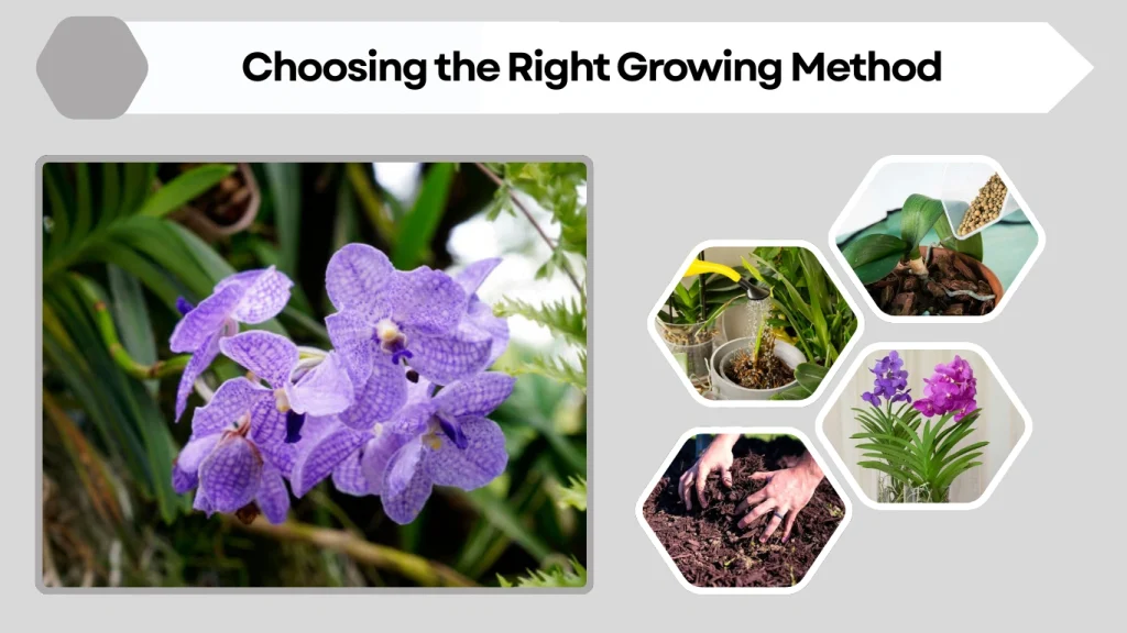 Choosing the Right Growing Method