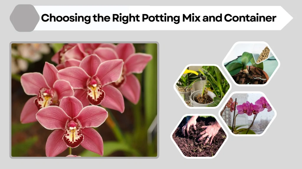 Choosing the Right Potting Mix and Container