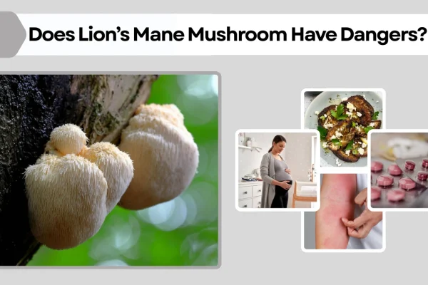 Does Lion’s Mane Mushroom Have Dangers? Risks, Side Effects, and Safety Facts