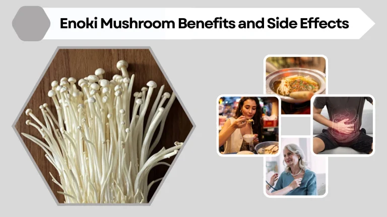 Enoki Mushroom Benefits and Side Effects: Nutrition, Uses, and Safety Guide