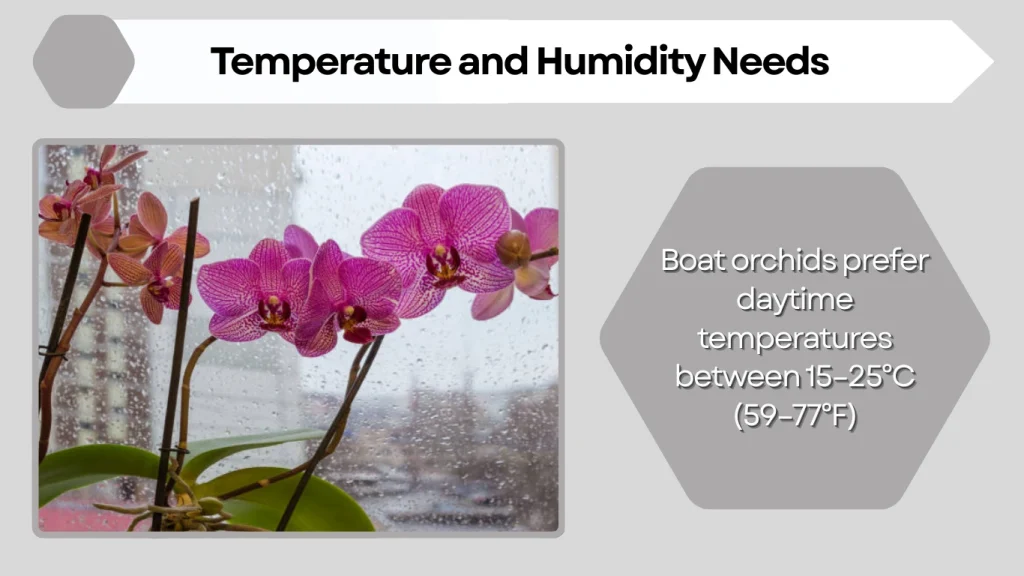 Temperature and Humidity Needs