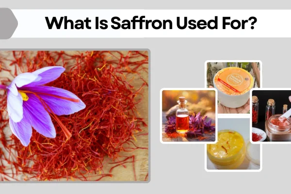 What Is Saffron Used For Culinary, Medicinal, and Other Uses