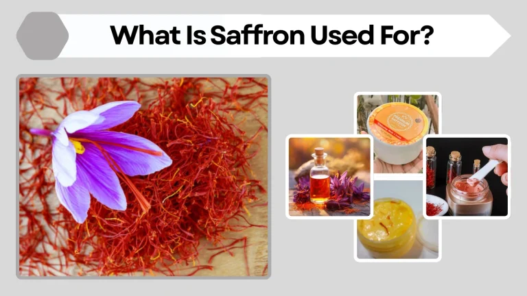 What Is Saffron Used For Culinary, Medicinal, and Other Uses
