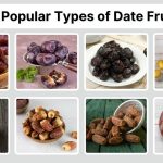 21 Popular Types of Date Fruits: Benefits, Identification with Pictures