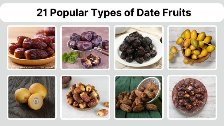 21 Popular Types of Date Fruits: Benefits, Identification with Pictures