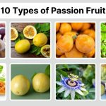 10 Types of Passion Fruit: Identification with Picture