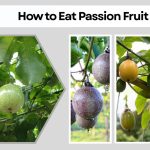 How to Eat Passion Fruit: A Step-by-Step Beginner’s Guide
