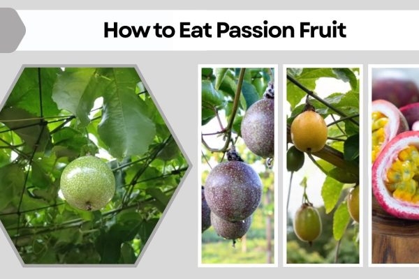 How to Eat Passion Fruit: A Step-by-Step Beginner’s Guide