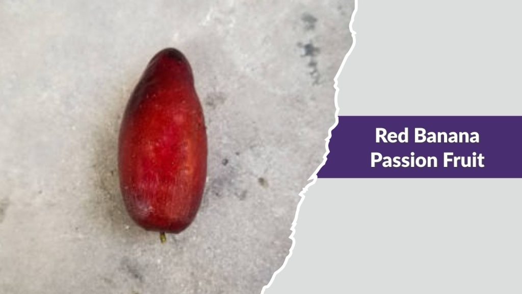 Red Banana Passion Fruit