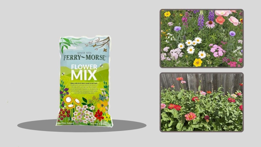 Inbloom Hydroponic Growing System Seed Pods (AeroGarden-Style)