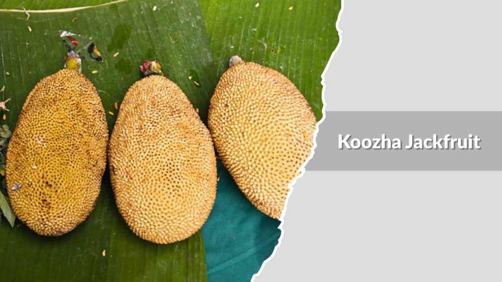 Koozha Jackfruit