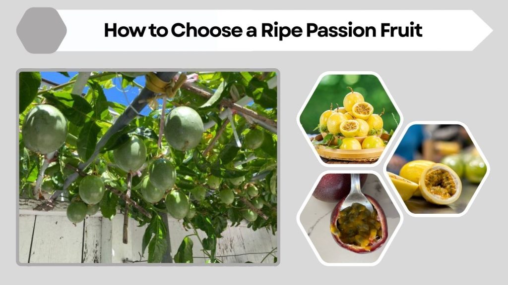 How to Choose a Ripe Passion Fruit