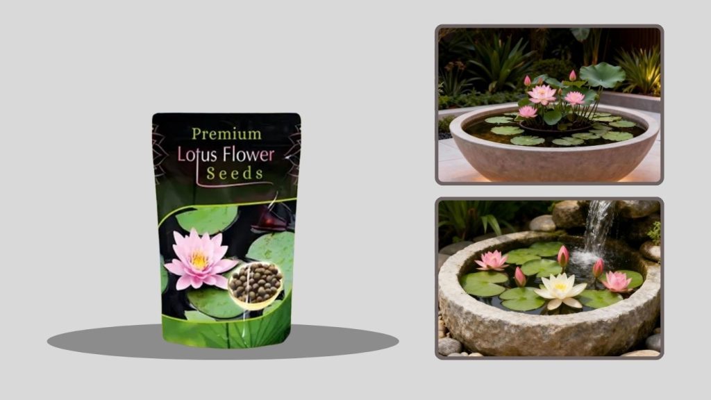 Premium Water Lotus Seeds for Planting (60 Pcs)