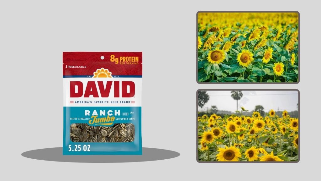 Giant Sunflower Flower Seed Packets