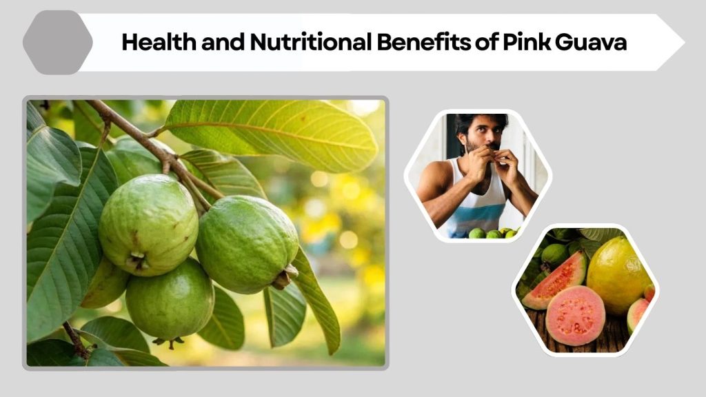 Health and Nutritional Benefits of Pink Guava