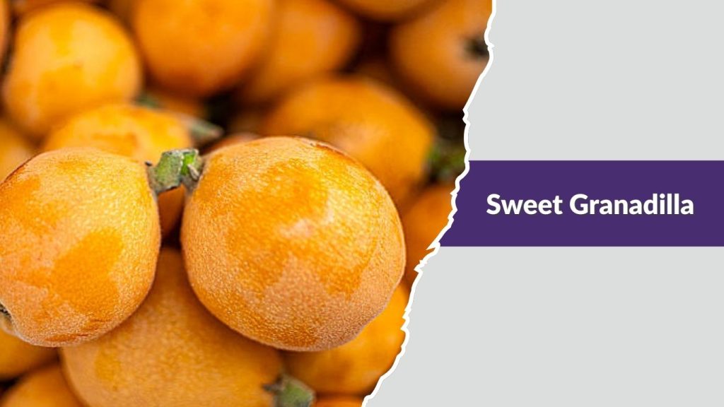  Sweet Granadilla