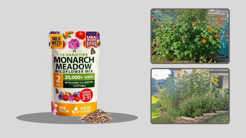 HOME GROWN Milkweed & Wildflower Seeds – Monarch Butterflies & Pollinators