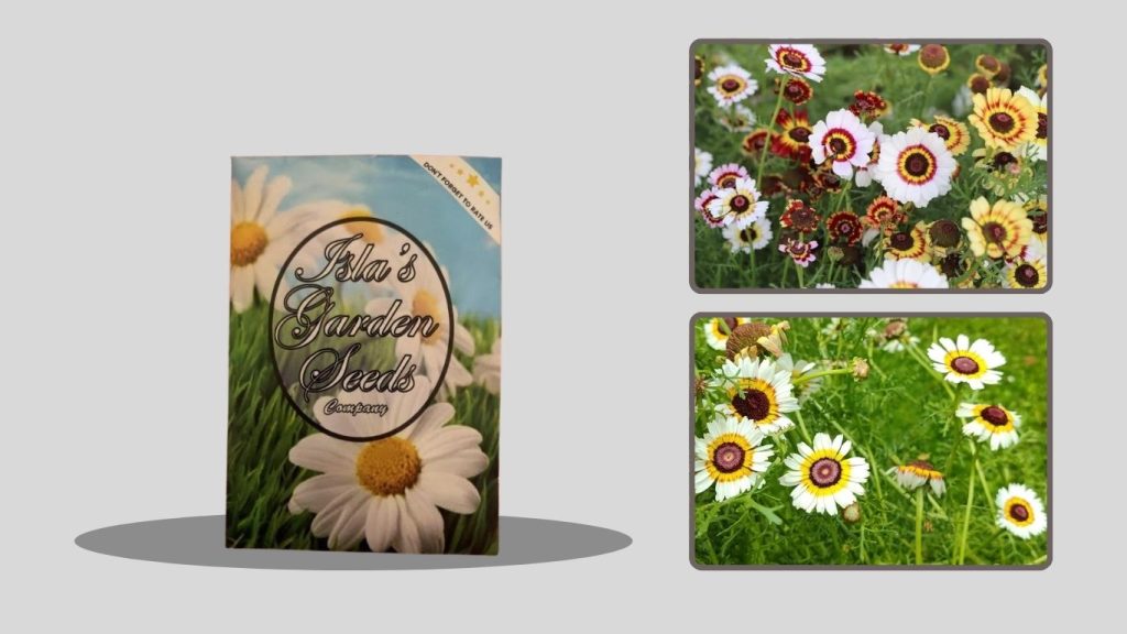 Ferry-Morse Northeast Bulk Wildflower Seed Mix