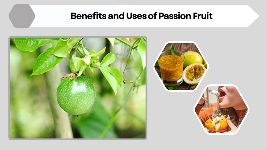 Benefits and Uses of Passion Fruit