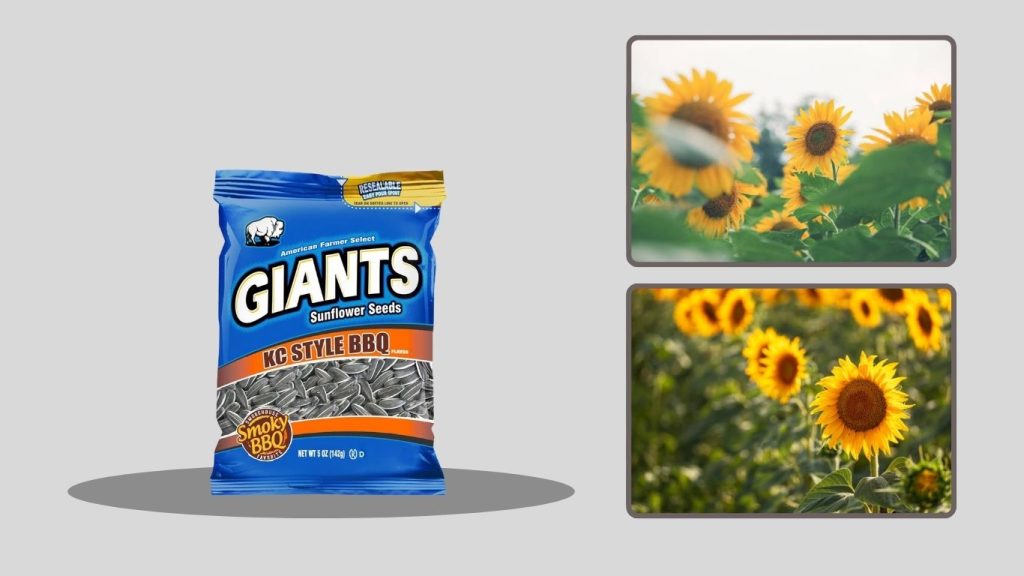 NOW Certified Organic Sunflower Seeds (Unsalted)