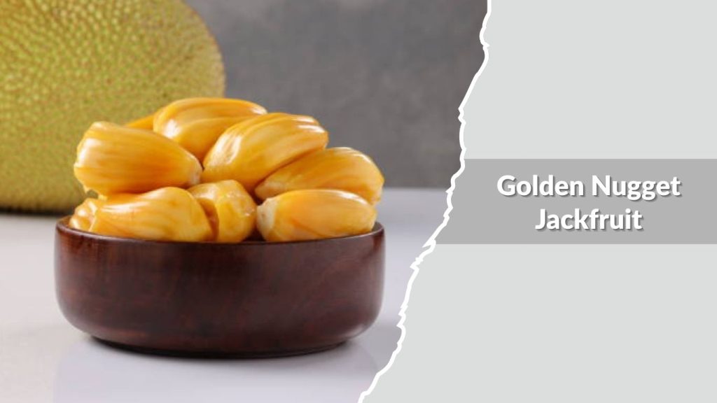 Golden Nugget Jackfruit