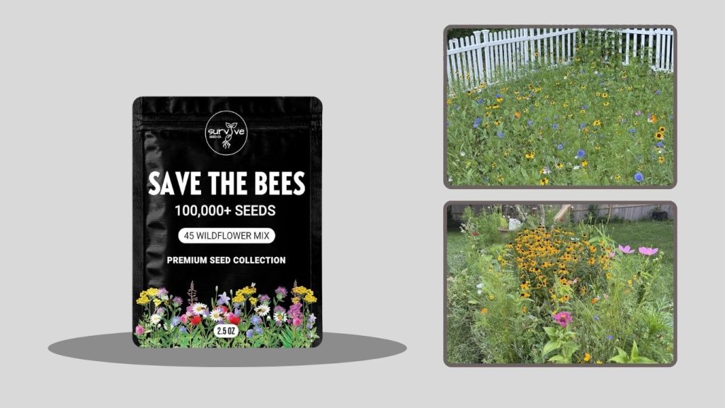  Package of 100,000+ Wildflower Seeds – Bulk Mix