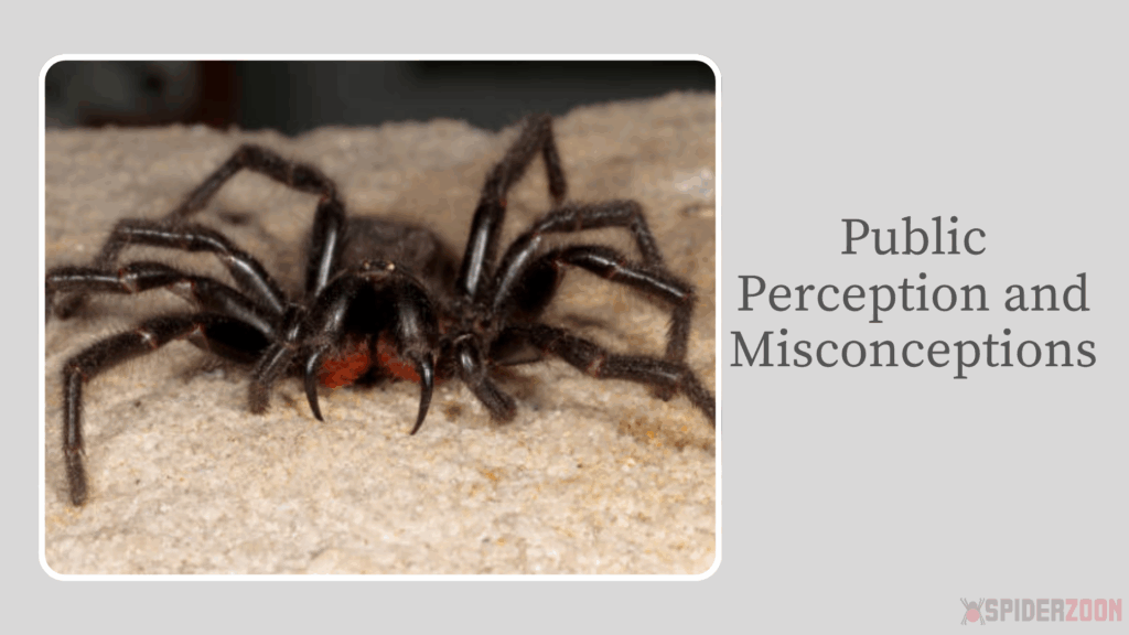 Public Perception and Misconceptions