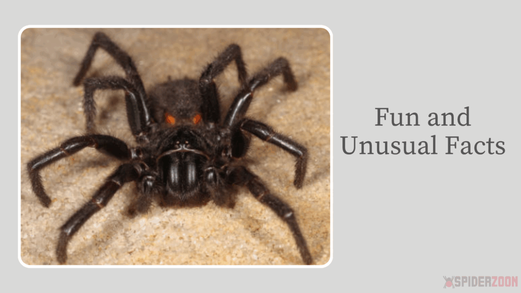 Fun and Unusual Facts